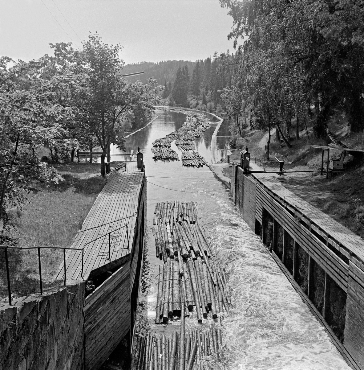 Ei slusevending med massevirke, fotografert idet tømmeret var i ferd med å flyte ut av det nederst kammeret i Ørje sluser i Marker kommune i Østfold.  Dette fotografiet ble tatt i 1982, som var den siste sesongen med tømmerfløting i Haldenvassdraget.  De siste tre åra ble det utelukkende fløtet ubarket massevirke i tre meters lengder.  Tømmeret ble utislått i bunter - «moser» - fra lastebiler ved Skulerud i Høland.  Derfra ble det først fløtet i store slep til Ørje ved sørenden av Rødenessjøen.  Der måtte slepene deles opp i lenker som var tilpasset lengden på de tre slusekamrene.  Ved Ørje skulle tømmeret sluses 10 høydemeter ned, fra Rødenessjøen ovenfor til Ørjeelva nedenfor.  Med det nevnte virkessortimentet gikk det fire lastebilbunter («moser») i hver slusevending.  I kanalen nedenfor sluseanlegget ble slusevendingene bundet sammen igjen i lengre lenker, som i i Lifjorden i nordenden av Øymarksjøen ble bundet sammen i større slep for buksering videre nedover i vassdraget. 

En liten historikk om tømmerfløting og kanaliseringsarbeid i Haldenvassdraget finnes under fanen «Opplysninger».