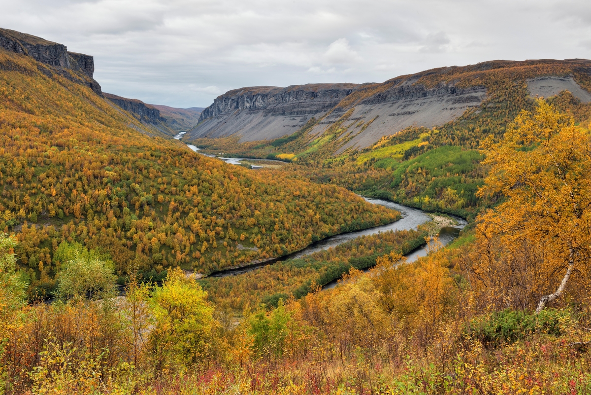 Fra Suatso i dalføret langs Altaelva/Àlttáeatnu i Finnmark.  Vi ser i retning Harestrømmen og Alta canyon.  Vassdraget slynge seg mellom fjellrygger, der de slakeste liene var bevokst med lauvskog i høstfarger, mens de bratteste bare hadde rasmasser av stein og grus, uten vegetasjon som er synlig fra den posisjonen bildet er tatt fra. Dette spesielle landskapet, med sitt plante- og dyreliv, var et sentralt tema i en av den mest omstridte vassdragsutbyggingssaken i Norge.  En kortversjon av saksforløpet er gjengitt under fanen «Opplysninger».