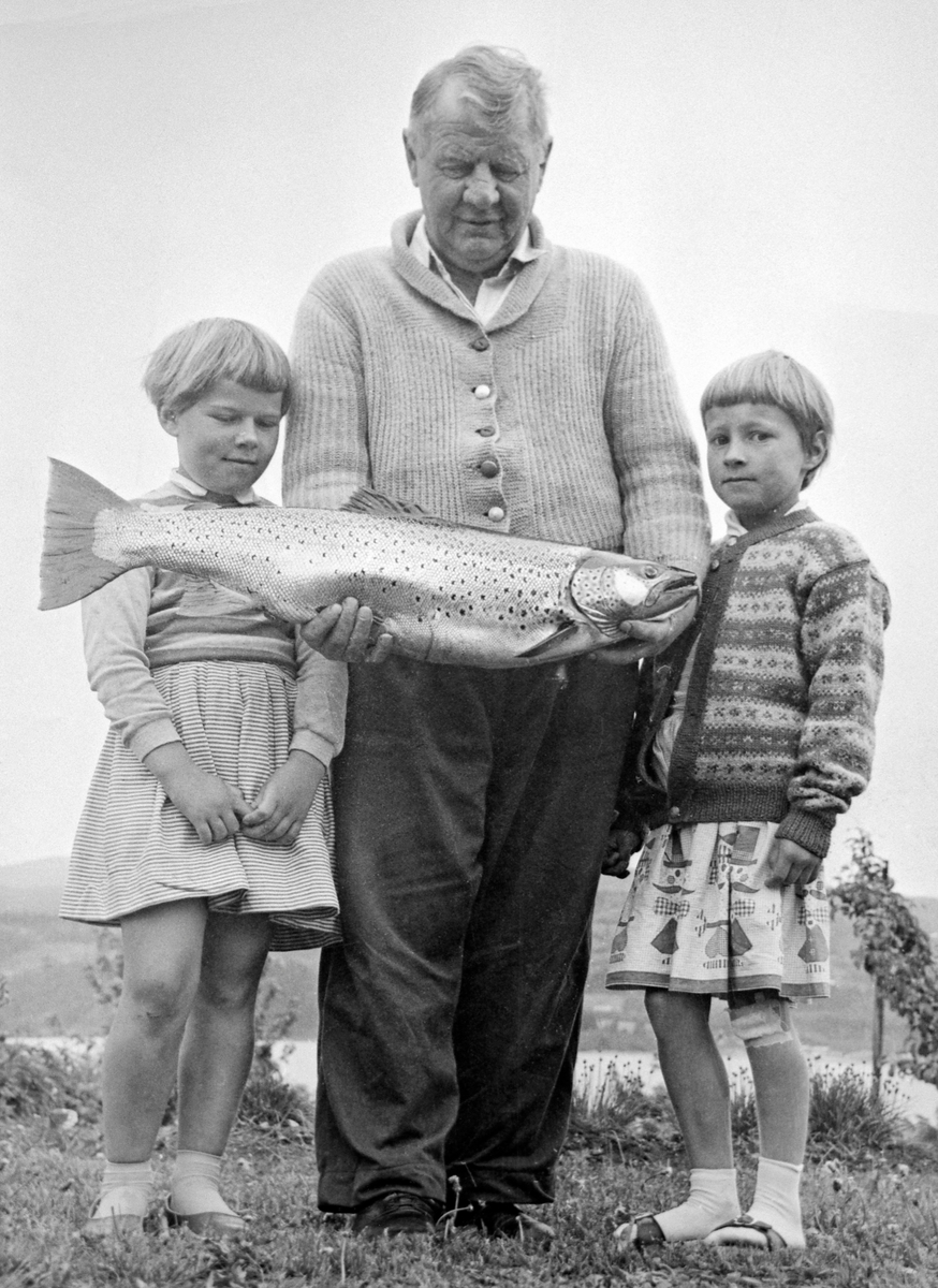 Johannes Rønning fra Moelv i Ringsaker viser fram en stor mjøsørret han fanget i 1959, flanker av to jenter Anne Marie Lie (til venstre) og Inger Marie Karlsen. Fotografiet ble publisert i Hamar Arbeiderblad under vignetten «Ringsaker-runden» 18. juni 1959, med følgende tekst:
  
«Det ble diplomfisk i Moelv igjen før vi visste ordet av det, og jamen var det Johannes Rønning som tok den også.  Som seg hør og bør ble det tatt nytt bilde av både fisk og fisker, og denne gangen har han med seg to beundrerinner, Anne Marie Lie (til venstre) og Inger Marie Karlsen.  7 kilo veier denne ørreten, som skaffer Rønning diplom nr. 2 i sommer.  Den ble tatt ved 1-tiden på «Kirkeflåen», ganske tett innunder land.  Det var litt av en stribukk å få opp i båten og den satt ikke bedre enn at kroksettet lå igjen på ripa da fisken var innabords.  To kroker på settet var røket og en var rettet ut.  Det er fisk fra 3-4 kilo og oppover til 7-8 som er hardest å ha med å gjøre, sier Rønning.  Større fisk enn dette blir fortere utkjaset.  Rønning hører blant dem som sverger til nattfisket.  Han er overbevist om at den mørkeste tiden på natten er den beste fordi han har gjort det best da.  Han har ellers erfaring for at dregging i måneskinn kan gi bra resultater.»