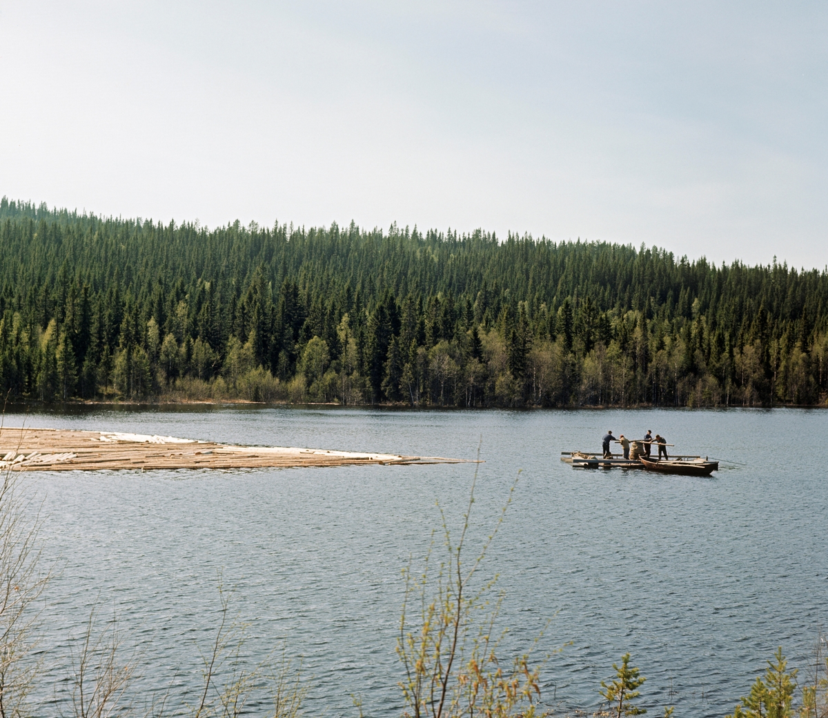 «Spilling» eller «varping» av tømmer på en av Ulvsjøene i Trysil våren 1969.  Fotografiet er tatt på en viss distanse.  Sentralt i bildeflata ser vi spillflåten, med fire mann som går rundt et gangspill, slik at flåten og den bakenforliggende tømmerbommen trekkes mot et anker - «krabba» - som karene har rodd framover i sjøen og sluppet ned på botnen, slik at de fikk et fastpunkt å trekke mot.  Tett bak flåten ligger en lettbåt, som blant annet ble brukt når krabba var trukket opp og skulle flyttes videre framover i sjøen.  Fotografiet viser ellers at landskapet omkring sjøen var preget av barskog.  Mot horisonten ser vi et fjell der det ennå lå litt snø da dette fotografiet ble tatt i slutten av mai.  Johan Sjølie, Halvor Sjølie og Torfinn Bakken var blant de fire karene som deltok i denne siste spillflåtedrifta i Glommavassdraget. 

Litt generell informasjon om spillflåtefløtinga på Ulvsjøene finnes under fanen «Andre opplysninger». Ulvsjøen. Hedmark.