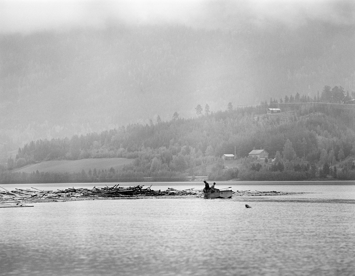 Tømmerfløting på Lomnessjøen i Ytre Renalen i 1981.  Fotografiet er tatt fra innsjøens vestre bredd, like nord for Kvernnesodden.  Ute på vannspeilet ser vi en av varpebåtene som ble brukt til å slepe ringbommer fra Hornsetlensa i nordenden hit til sørenden, der bommene ble åpnet slik at stokkene kunne flyte fritt videre nedover Åkrestrømmen mot neste innsjø, Storsjøen.  Båten hadde to manns besetning.