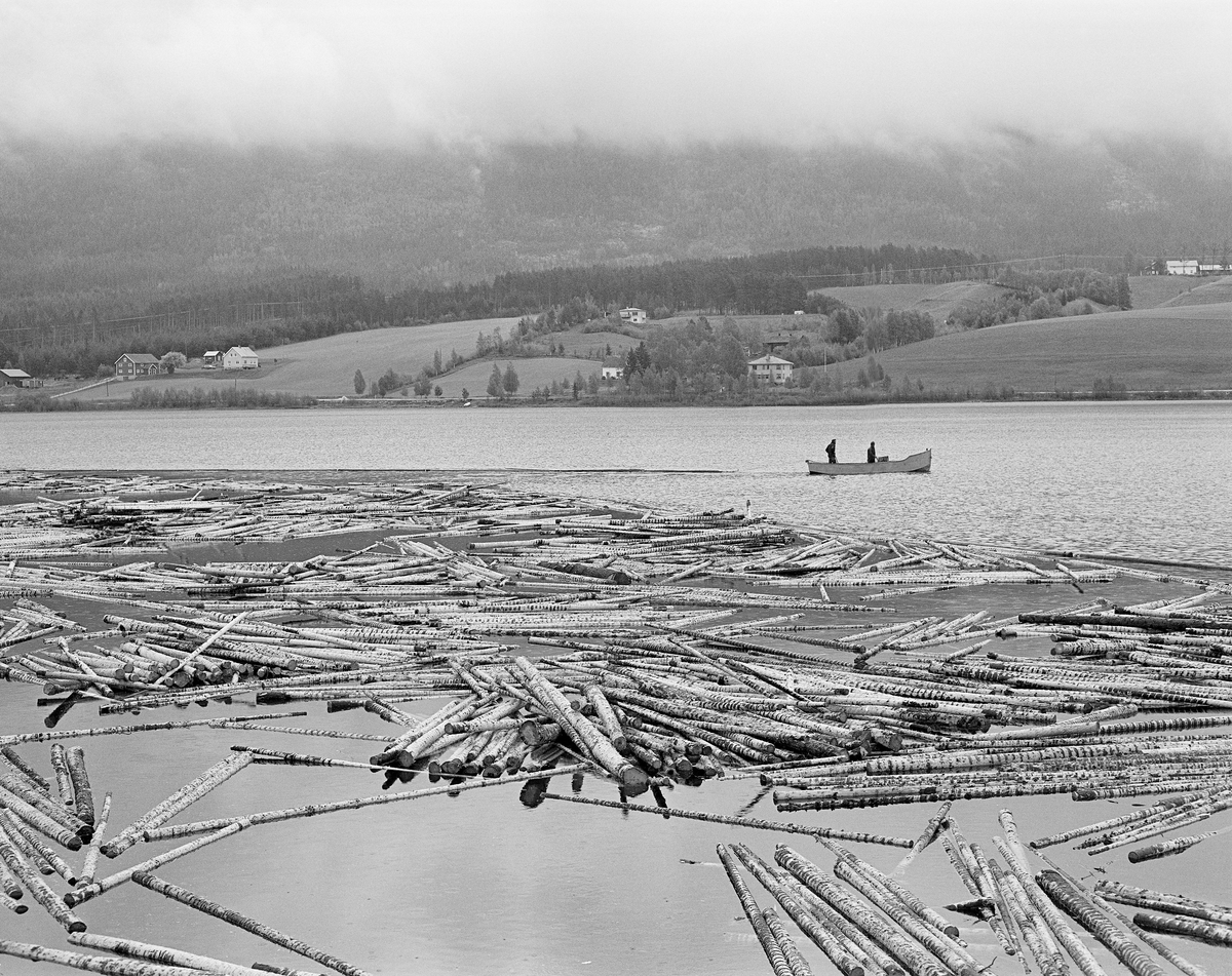 Fløtingstømmer ved sørenden av Lomnessjøen i Ytre Rendalen våren 1981.  I forgrunnen ser vi en del barket tømmer som antakelig nettopp var sluppet ut av en ringbom, etter å ha blitt slept over den nevnte innsjøen, som er bortimot ti kilometer lang fra Hornsetvelta i nord til Kvernesodden i sør.  Herfra måtte stokkene flyte løse et par kilometer sørover gjennom Åkrestrømmen inntil det nådde et nytt lensested i nordenden av Storsjøen.  En varpebåt av den typen som ble brukt til tømmersleping på Lomnessjøen skimtes på vannet, bak tømmeransamlinga i forgrunnen.  På sjøens østre bredd ser vi noen av Kvernnes-gardene, med gardsbruket Brenna helt til venstre.