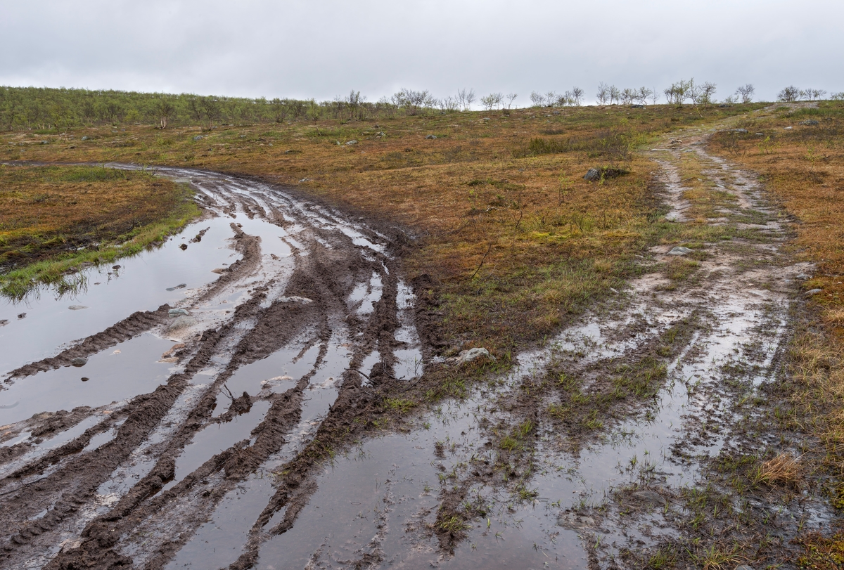 Spor etter kjøring med ATV i fjellandskap nær Sautso, Alta, Finnmark. Motorferdsel i utmark er svært omdiskutert, og konsekvensene av slik kjøring er store. I Alta blir ofte ATV, også kalt firehjuling, i noen tilfeller brukt i forbindelse med jakt og andre fritidsaktiviteter. Reindriftsutøvere bruker ATV i forbindelse med reindrift. Nødvendig kjøring i forbindelse med reindrftsnæring er tillatt i. flg lov om motorisert fersel i utmark.