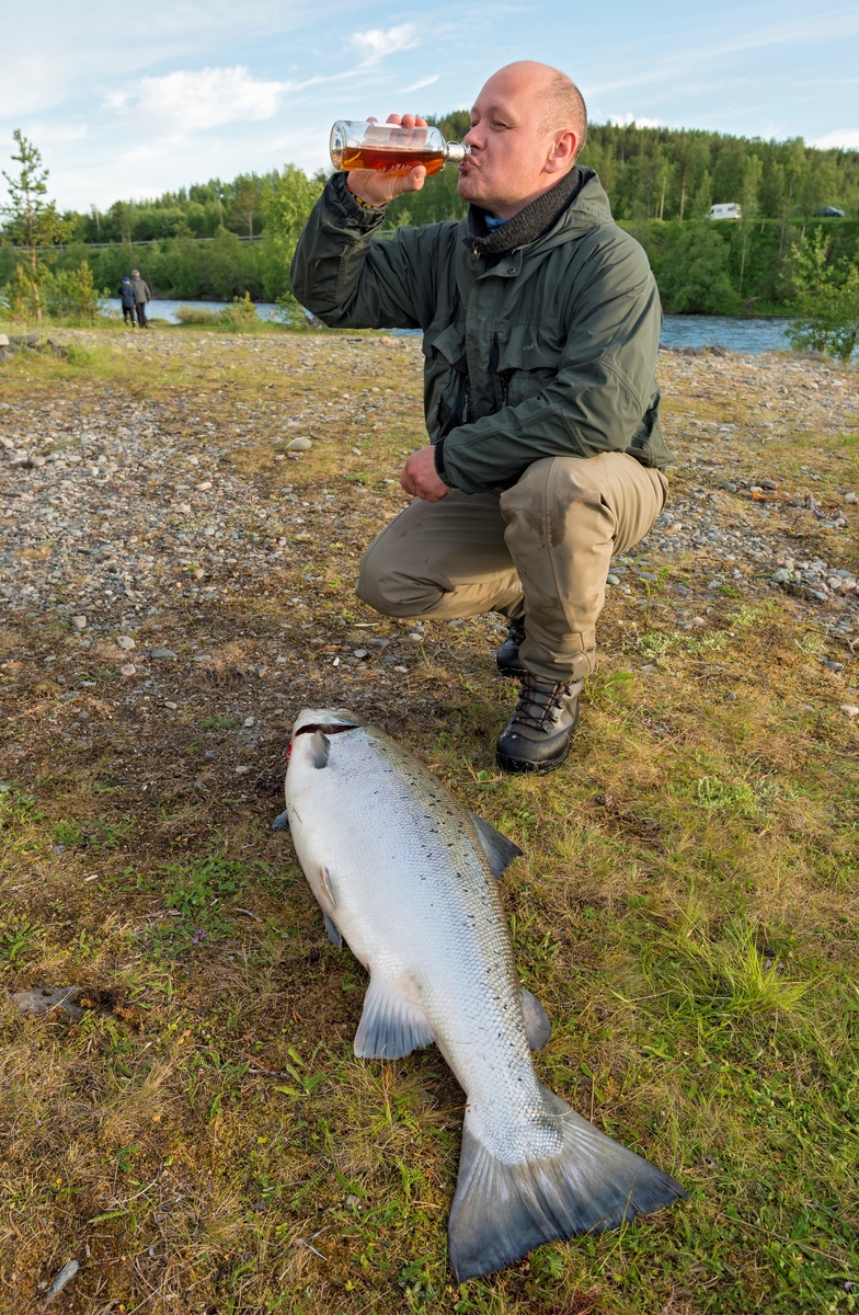 Laksefiske i Altaelva. Fra Midterfaret i Øvre Alta, Alta, Finnmark. Fiske etter laks. Sportsfiske. Rune Østlyngen fra Alta drikker cognac for å feire at han nettopp hadde landet en laks på flue. Laksen veide 16,5 kilo, lengde 114 cm. Fangst.