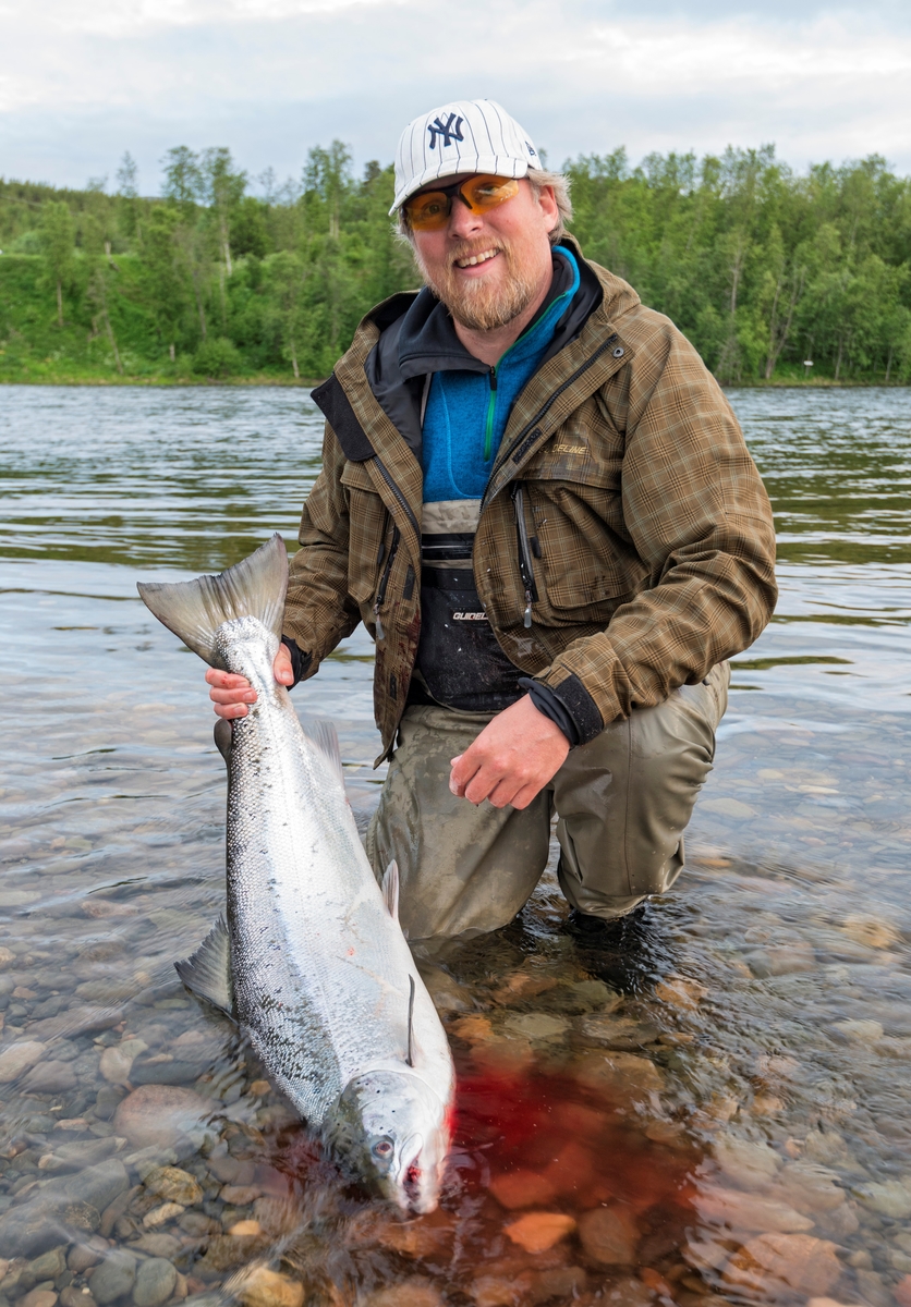 Laksefiske i Altaelva. Fra Midterfaret i Øvre Alta, Alta, Finnmark. Fiske etter laks. Sportsfiske. Sportsfisker Peter de Jong fra Alta med en laks han nettopp hadde landet. Laksen veide 12 kilo og ble tatt på flue.