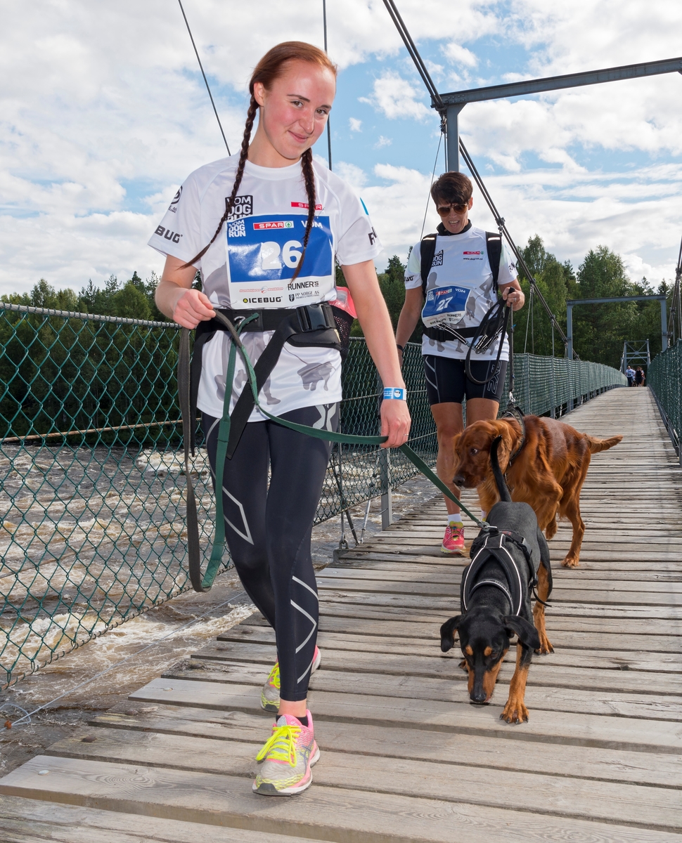 Fra DogRun i regi av VOM og hundemat under De nordiske jakt- og fiskedager 2017 på Norsk skogmseum. De nordiske jakt- og fiskedagene. Jakt og fiskedagene. Jakt og fiskedager. Arrangementer.