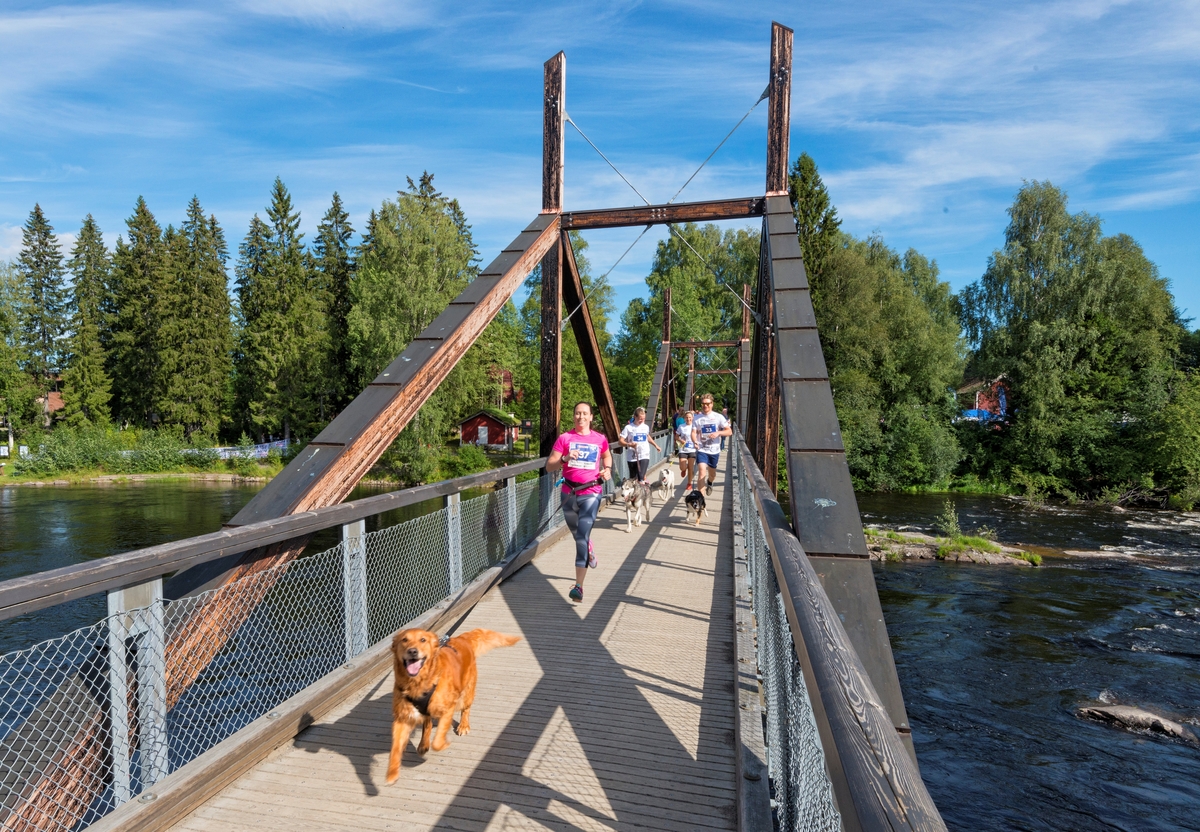 Fra DogRun i regi av VOM og hundemat under De nordiske jakt- og fiskedager 2017 på Norsk skogmuseum. De nordiske jakt- og fiskedagene. Jakt og fiskedagene. Jakt og fiskedager. Klokkerfossbrua. Arrangementer.