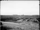 Odlingsbäddar vid spårområde, eventuellt för sockerbetor. I bakgrunden syns järnvägsverkstäderna i Johanneslust, Malmö.