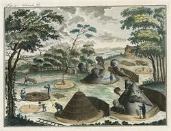 Kolorert trykk som viser trekolproduksjon.  I overkant av bi