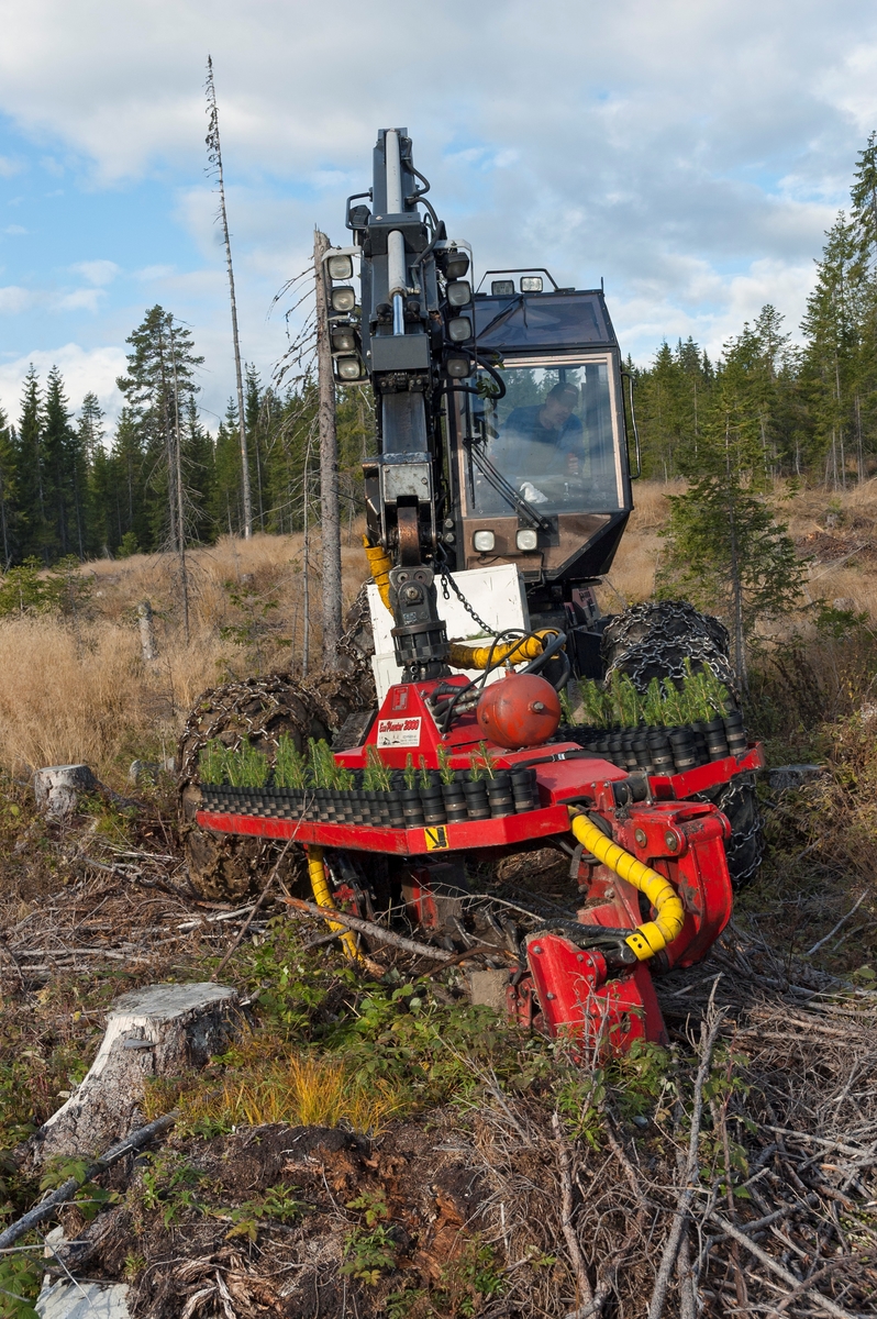 Planteaggregat – en såkalt Eco-Planter 2000 – montert på en skogsmaskin av typen Valmet 911.  Fotografiet ble tatt høsten 2005 på Brøttum i Ringsaker kommune, der firmaet Forest Maskindrift AS fra Eidsvoll hadde påtatt seg planting for et av medlemmene i Mjøsen skog.  Aggregatet veide cirka 1 000 kilo.  På oversida hadde det et todelt bord med til sammen 240 plasthylser som maskinføreren fylte med planter før han startet arbeidet.  Hylsemagasinene gikk på et rotasjonsbånd.  I begge ender av bordet, på undersida av aggregatet, var det fresehjul som var bevegelige både i horisontale og vertikale retninger.  Når disse ble aktivert, kastet maskinen opp to små hauger, med ei blanding av humus og mineraljord.   Dersom det viste seg å være stein eller kraftige røtter på de valgte plantepunktene, kunne maskinføreren avbryte prosessen og flytte litt på aggregatet.  Etter at vellykket fresing var gjennomført, ble planter fra hylsene presset ned i jordhaugene ved hjelp av trykkluft.  De måtte settes ganske djupt om de skulle få god nok tilgang på fuktighet.  Plantematerialet måtte derfor ha en viss lengde, minst 17 centimeter, helst over 20 centimeter.  Ved manuelle plantinger var minstekravet til lengden 13 centimeter.  På grunn av kravene til plantelengden ble Eco-Planter 2000 kun brukt til granplanting, furuplantene ble for korte.  Maskinen kunne både ta ordinære pottebrettplanter (M95) og planter som var dyrket fram i Jiffy-potter.  Veksttorva i rotklumpene skulle helst ikke ha utstikkende rottrevler, for med slike kunne de lett hekte seg fast i røret mellom plantebordet og jordhaugen de skulle settes i.  Maskinen greide å plante cirka 300 planter i timen.  12-14 minutter av denne tida ble brukt til å mate hylsene på plantebordene.  Den kvite kassa som var montert på fronten av den rammestyrte maskinen kunne romme om lag et dagsforbruk av planter.