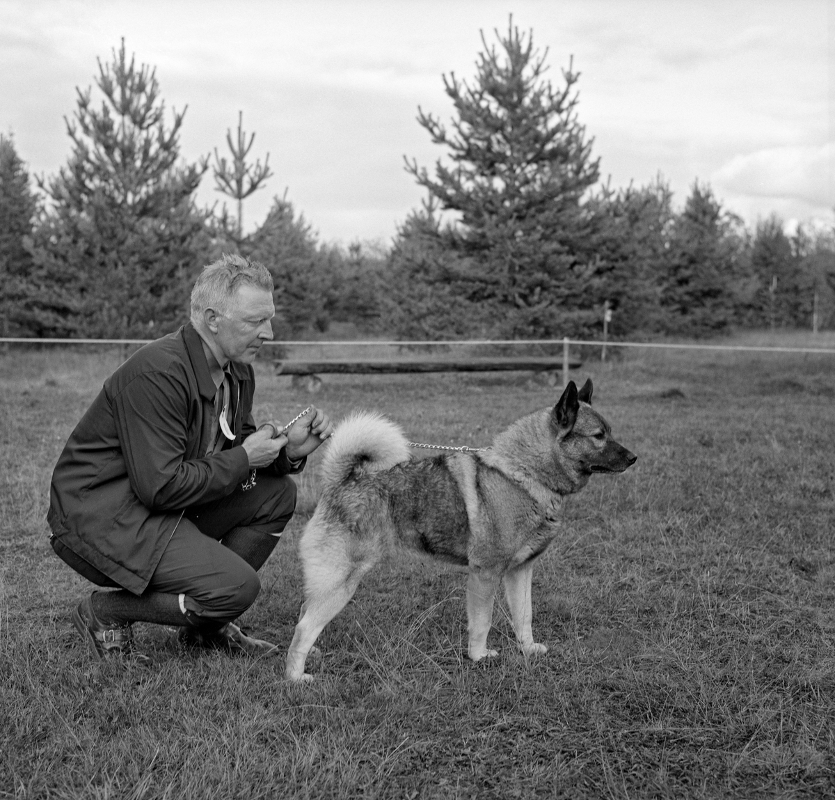 En hundeeier fotografert med sin elghund under Jaktens og fiskets dag på Norsk Skogbruksmuseum 24. august 1969.  Bildet viser en knestående mann med en elghund framfor seg.  Hunden kan være «A.K. Kring», som vant klassen for grå elghunder av hannkjønn.  I så fall er eieren John Alm (1918-1999) fra Gran på Hadeland.  Jaktchampionat-utstillingen som Norsk Elghundklubb arrangerte på museet samlet cirka 90 hunder, hvorav halvparten skal ha tilfredsstilt kriteriene for å oppnå førstepremie.