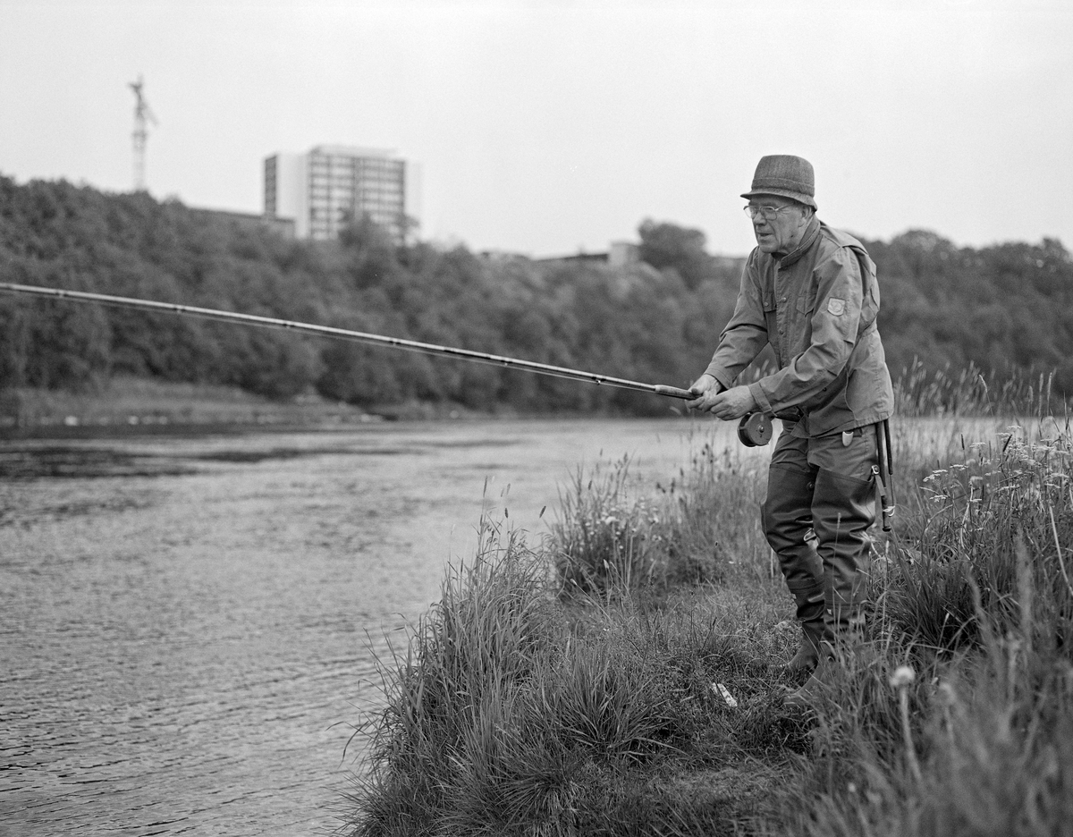 Asbjørn Hørgård (1910-2001), fotografert under fluefiske i elv.  Fiskeren hadde sportsjakke på overkroppen, hatt på hodet og vadere på beina.  Fluestanga og snella han brukte, var trolig fra bedriften han sjøl hadde bygd opp, Asbjørn Hørgård AS i Trondheim.  Fotografiet er sannsynligvis tatt i nærheten av bedriften, ved Nidelva, på et tidspunkt da Asbjørn Hørgård var midt i 70-åra og hadde overlatt ledelsen av virksomheten til neste generasjon.  Mer informasjon om Asbjørn Hørgård og hans produksjon av splitcanestenger og annet fiskeutstyr finnes under fanen «Opplysninger».