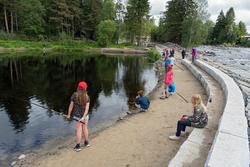 Fra temadagsarrangementet «Skog og vann - naturskole for all