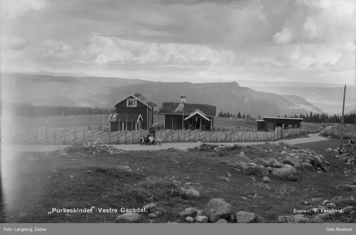 fjell, hyttebebyggelse, flagg, vei, kvinne, geiter, skigard