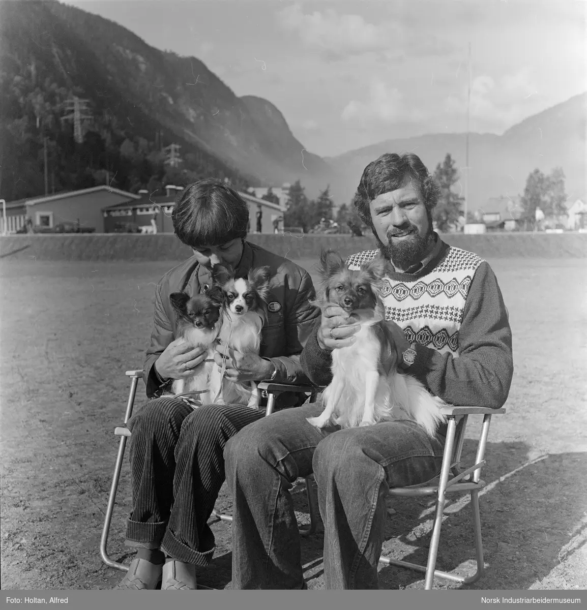 Små hunder på hundeutstilling på Rjukan Stadion