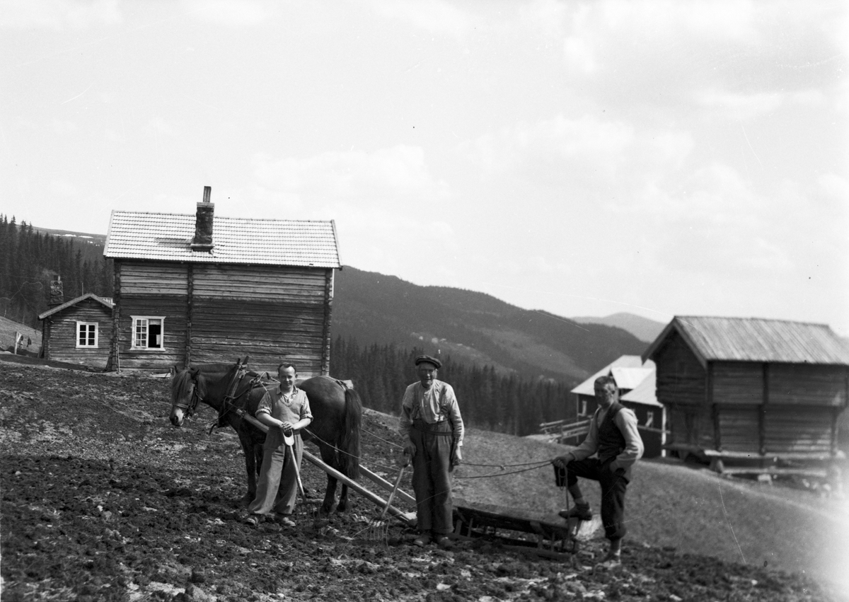 Gårdsarbeid med hest og plog tatt med selvutløser av fotografen.