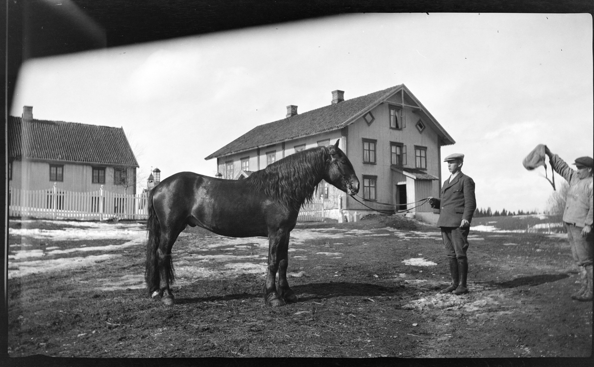 Dørum gard, Vang Gnr. 177 bnr.1. Østbye med hesten "Rimfakse"