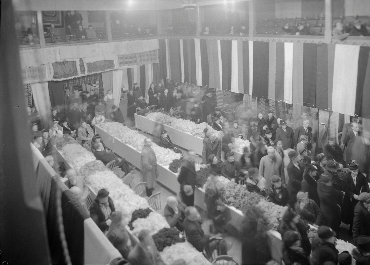 Ullutstillingen 1938
