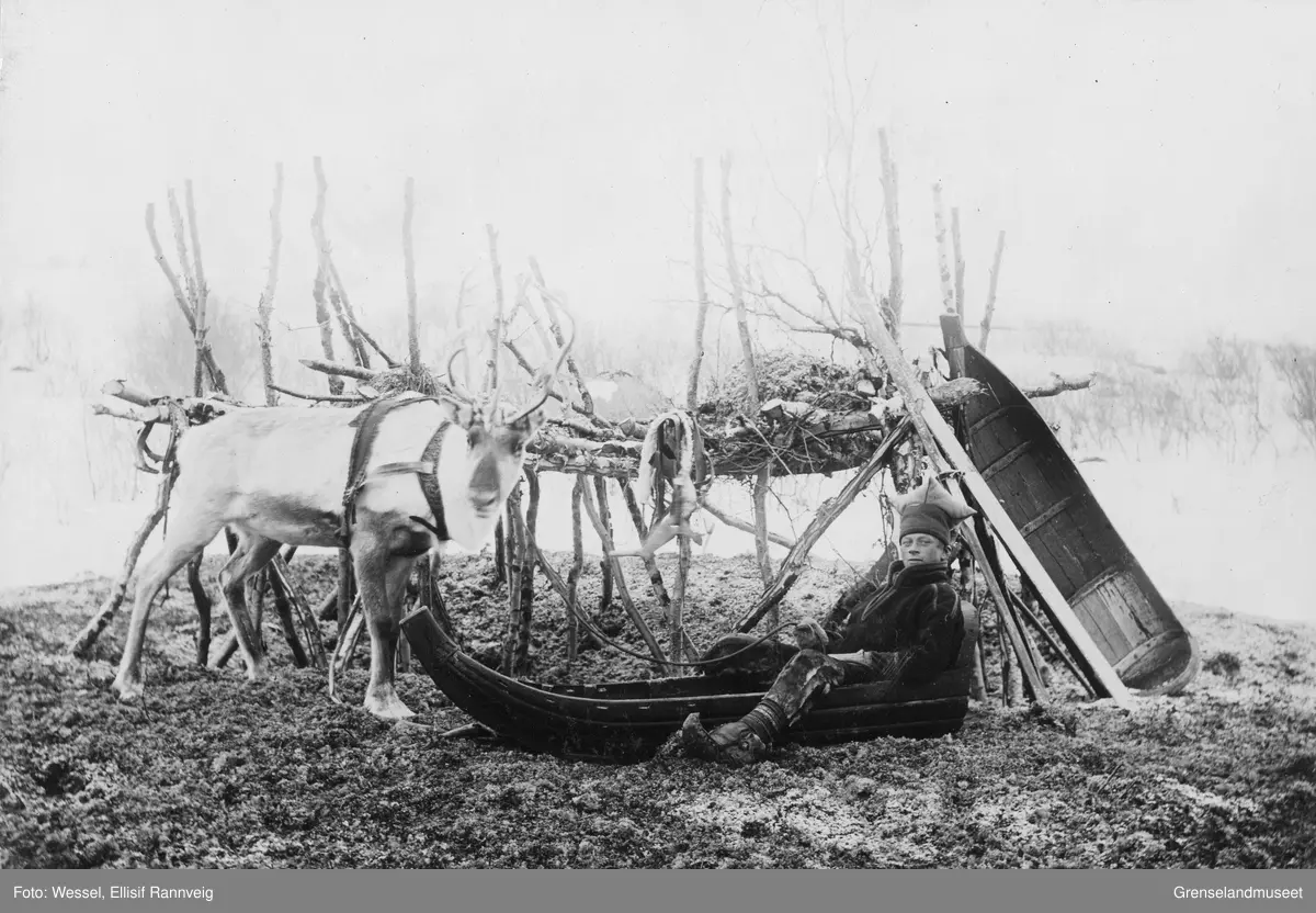 Ole Johnsen Must med sin kjørerein og pulk ved mosekraken på Solheim, vinteren 1896