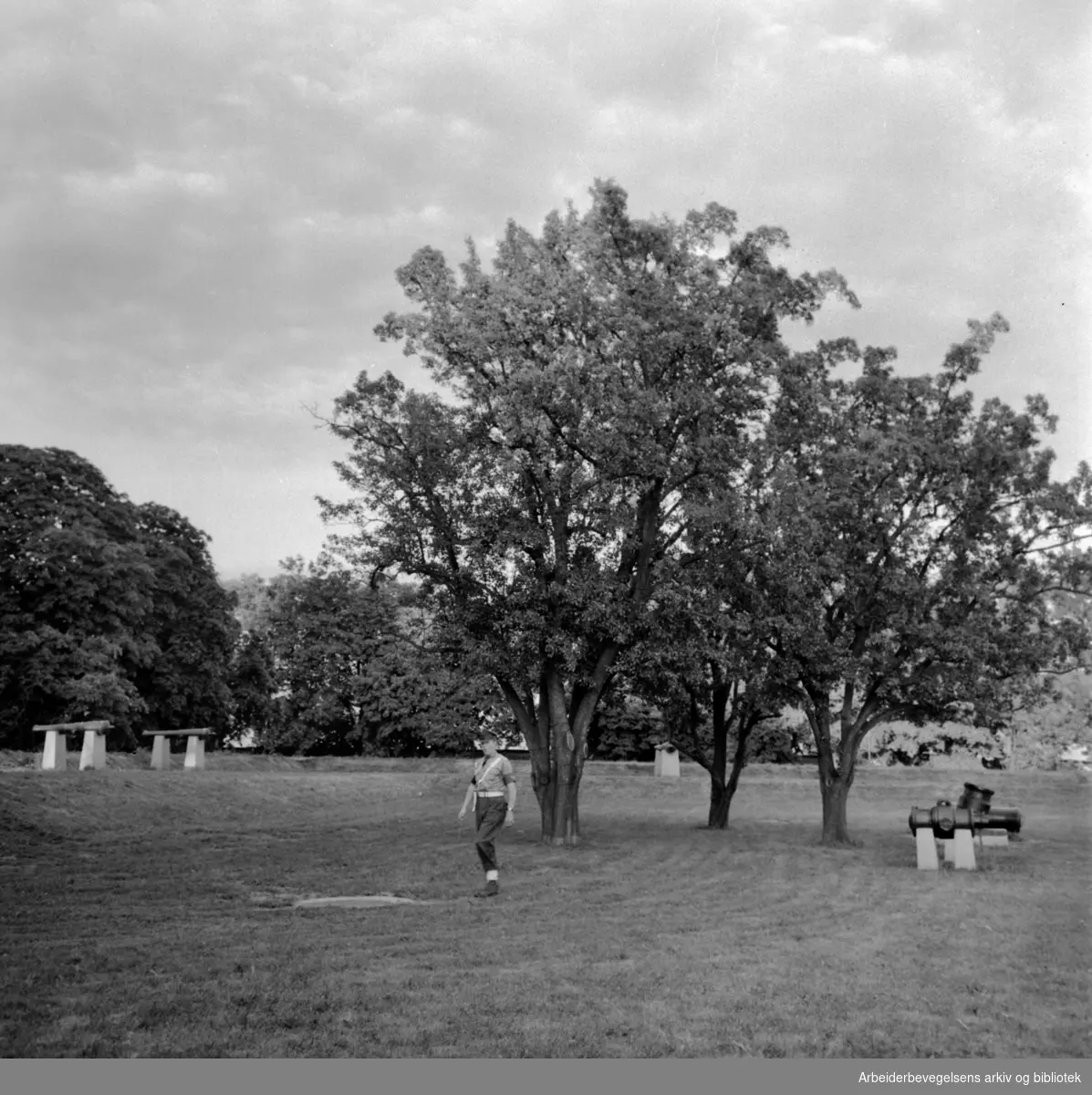 Oslo: Akershus Festning. Friluftssenen på vollene. Juni 1960