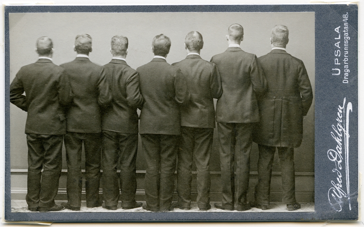 Kabinettsfotografi - sju män iklädda kostym, porträtterade bakifrån, Uppsala 1902