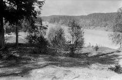 Nord-Elvåga med plassen Tangen på den andre siden.