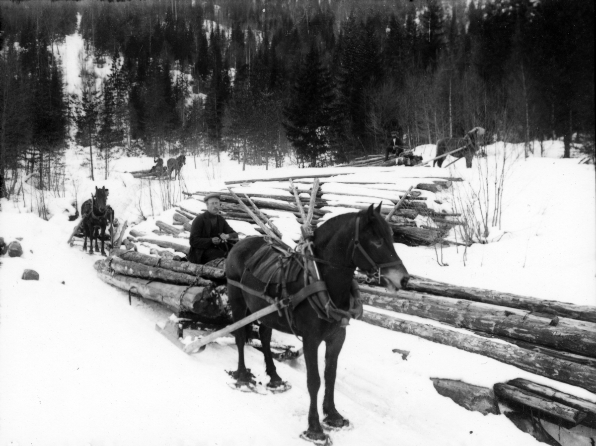 Fotosamling etter Bendik Kjetilson Taraldlien (Fyresdal) 1863-1951.