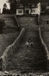 Sognefjorden (el. "Barn som spring for å møte båten") [Fotog