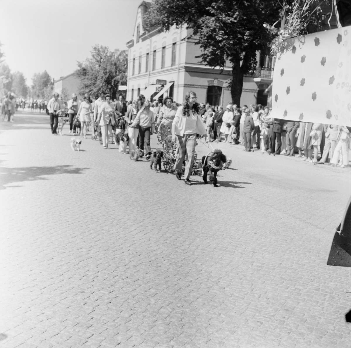 Barnens Dag i Tierp, Uppland, juni 1971