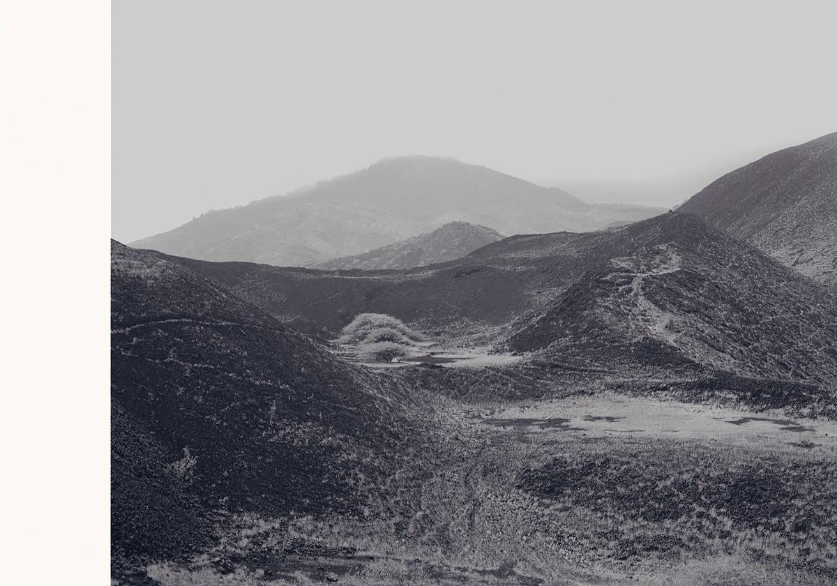 Verket er en dialog med den ene av flere utgaver av en dagbok fra 1700-tallet med samme tittel, som tilhørte den nederlanske soldaten Leenert Hasenbosch. Alle fotografier er fra Ascension island, øde.