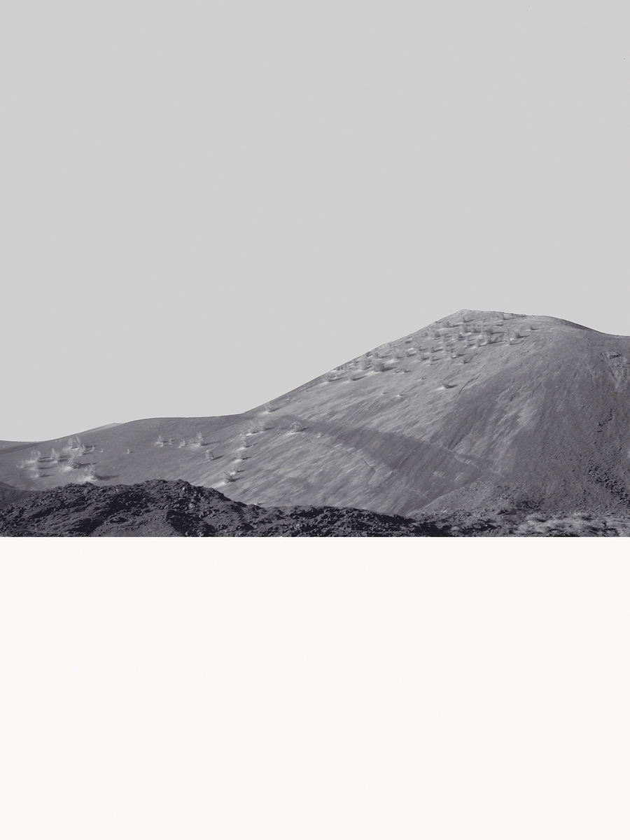 Verket er en dialog med den ene av flere utgaver av en dagbok fra 1700-tallet med samme tittel, som tilhørte den nederlanske soldaten Leenert Hasenbosch. Alle fotografier er fra Ascension island, øde. Motivet viser et skilepadde skjelett.