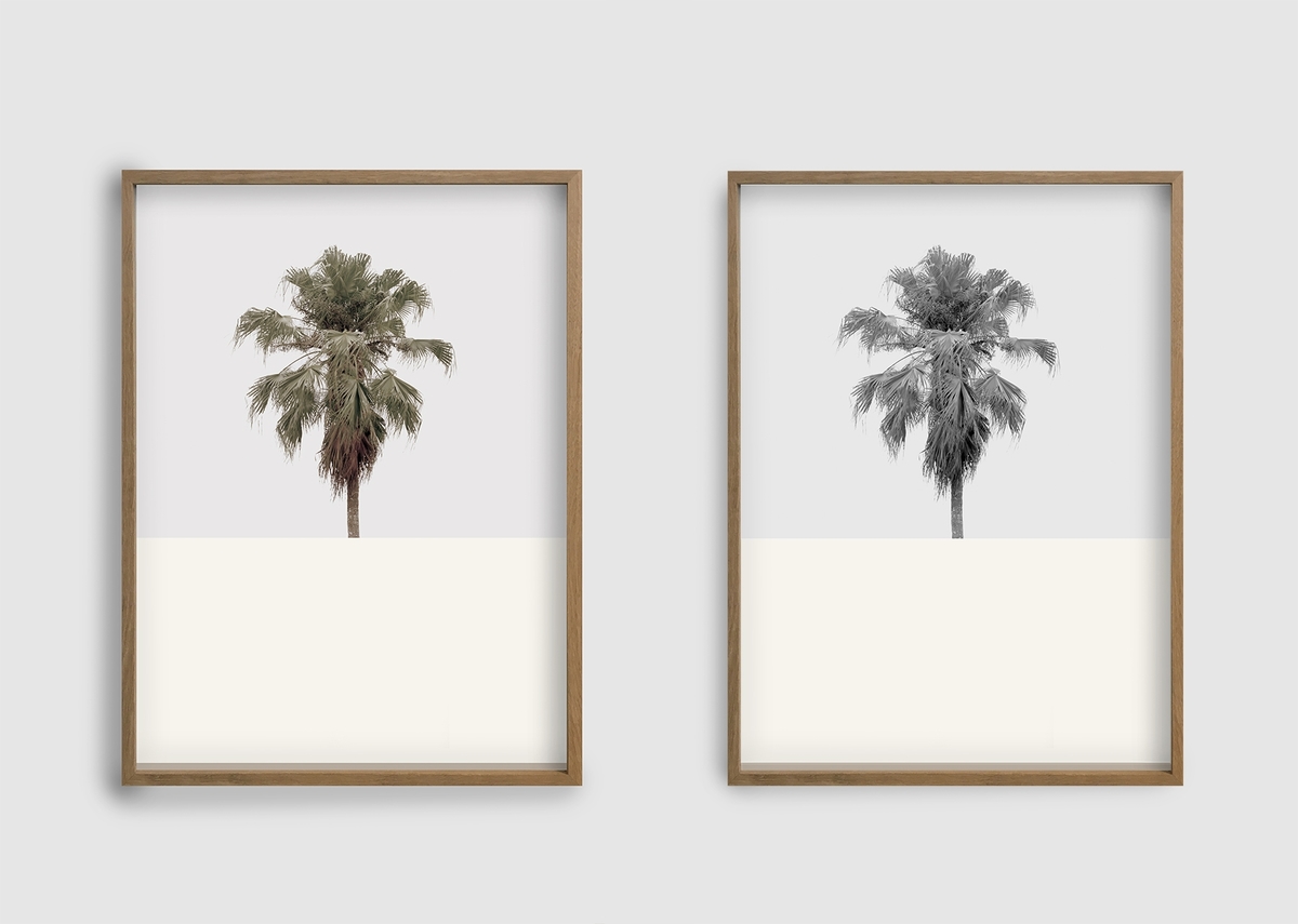 Verket er en dialog med den ene av flere utgaver av en dagbok fra 1700-tallet med samme tittel, som tilhørte den nederlanske soldaten Leenert Hasenbosch. Alle fotografier er fra Ascension island, øde. Motivet viser et skilepadde skjelett.