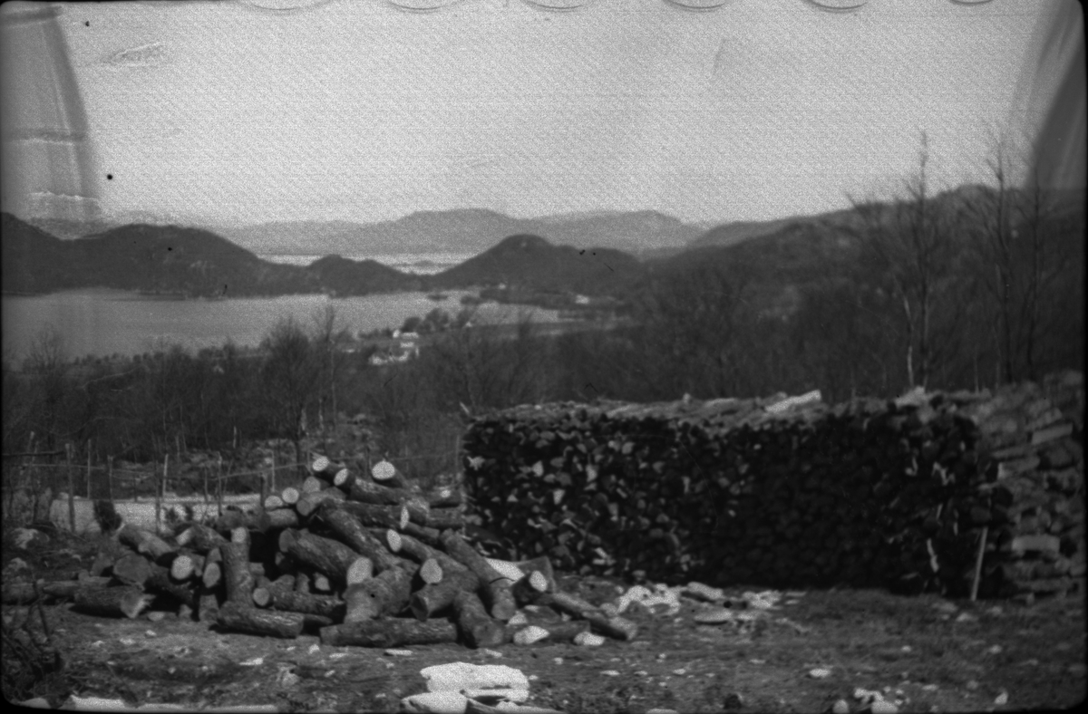 Wilhelm Hatleskog og Finn Johannessen på motorsykkeltur mellom Tau og Fiskå. Det er bilder fra en flokk med lam og sauer, en gård, et passasjerskip og landskapet. Wilhelm Hatleskog er på bilde 10 og 12 og Finn Johannessen er på bilde 5, 15 og 16.