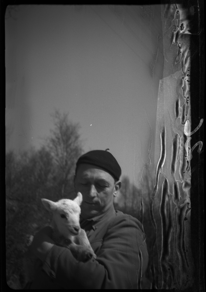 Wilhelm Hatleskog og Finn Johannessen på motorsykkeltur mellom Tau og Fiskå. Det er bilder fra en flokk med lam og sauer, en gård, et passasjerskip og landskapet. Wilhelm Hatleskog er på bilde 10 og 12 og Finn Johannessen er på bilde 5, 15 og 16.