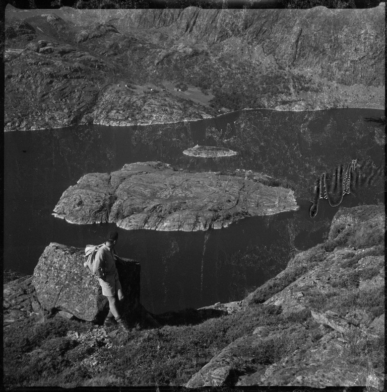 Lindtner på fjellet Vikastakken, sør for Vika i Lysefjorden. Det er utsikt til Bergsholmen på de to første bildene, og ut fjorden på det siste bildet.