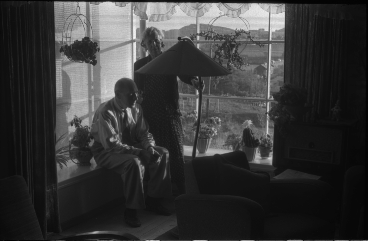 Flere bilder av landskapet, stratigrafi og gårder på Vadla ved Jøsenfjorden. Det er også bilder av folk på Vadla, blant annet Frida Johannessen på bilde nr. 2, 30, 31, 34 og sammen med Paul Johannessen på bilde nr. 35.