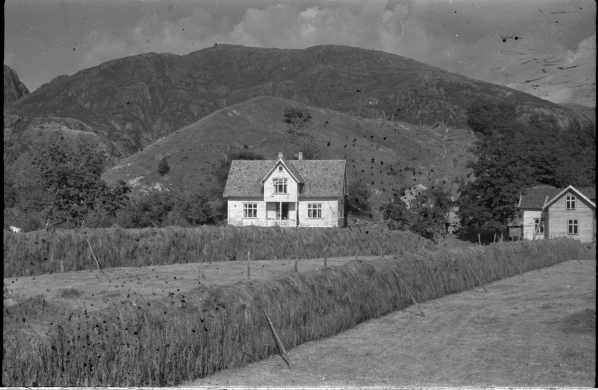 Flere bilder av landskapet, stratigrafi og gårder på Vadla ved Jøsenfjorden. Det er også bilder av folk på Vadla, blant annet Frida Johannessen på bilde nr. 2, 30, 31, 34 og sammen med Paul Johannessen på bilde nr. 35.