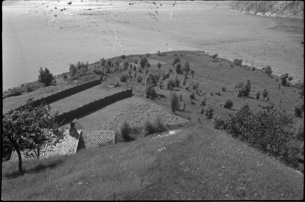 Flere bilder av landskapet, stratigrafi og gårder på Vadla ved Jøsenfjorden. Det er også bilder av folk på Vadla, blant annet Frida Johannessen på bilde nr. 2, 30, 31, 34 og sammen med Paul Johannessen på bilde nr. 35.