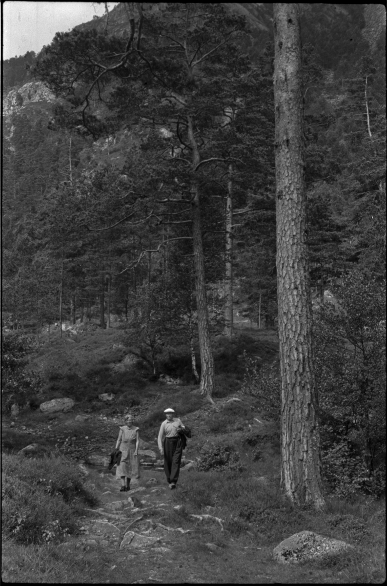 Bilder av skuringsstriper i bergene ved Vadla i Jøsenfjorden (bilde 1-4), Aslaug Skjold fra Sauda (bilde 5), Frida og Paul Johannessen på tur ved Indre Eidane i Jøsenfjorden (bilde 6-13), gården Vadla, ved Jøsenfjorden (bilde 14), Espedalen og Helle ved Høgsfjorden (bilde 15-17), en mann, muligens Erik Nesheim, som sitter utenfor hytta si på Helle (bilde 18-19) og sandtak på Vadla og sandterasse ved Ørekvam, nord for Vadla.