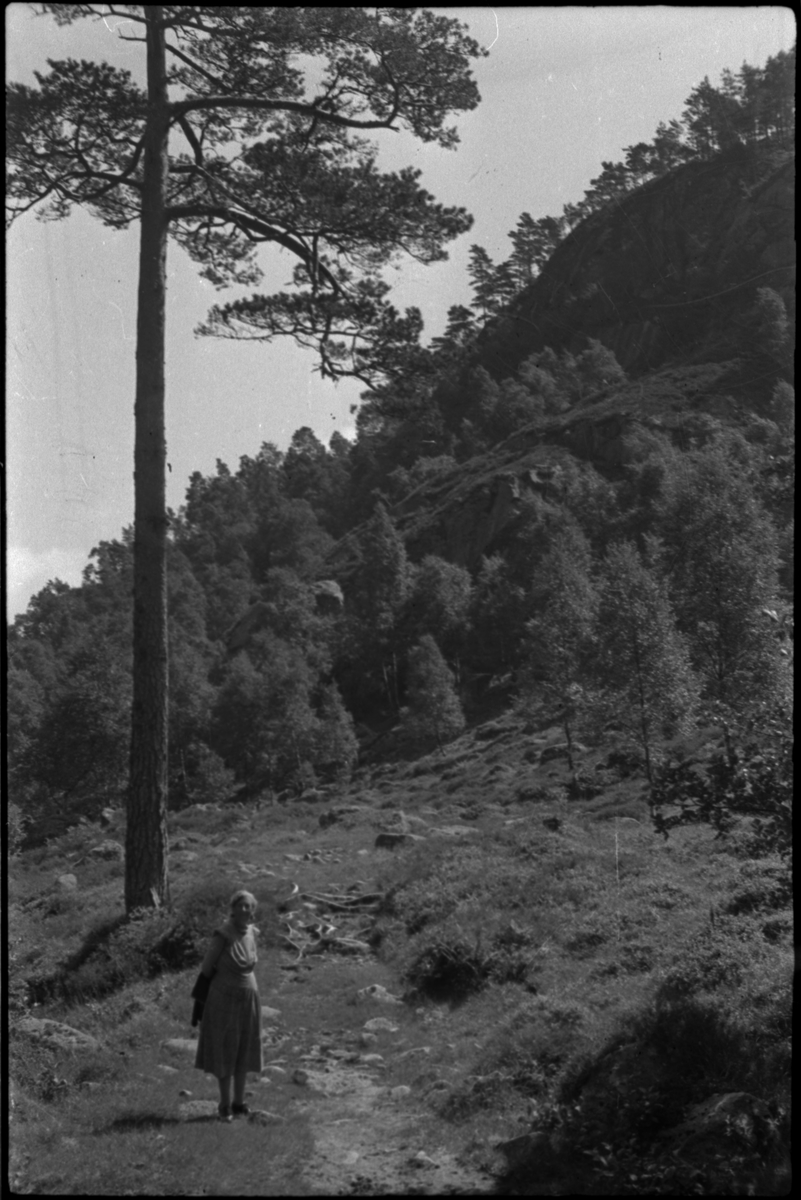 Bilder av skuringsstriper i bergene ved Vadla i Jøsenfjorden (bilde 1-4), Aslaug Skjold fra Sauda (bilde 5), Frida og Paul Johannessen på tur ved Indre Eidane i Jøsenfjorden (bilde 6-13), gården Vadla, ved Jøsenfjorden (bilde 14), Espedalen og Helle ved Høgsfjorden (bilde 15-17), en mann, muligens Erik Nesheim, som sitter utenfor hytta si på Helle (bilde 18-19) og sandtak på Vadla og sandterasse ved Ørekvam, nord for Vadla.