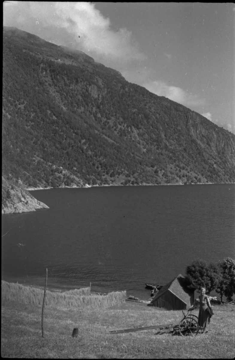Bilder av skuringsstriper i bergene ved Vadla i Jøsenfjorden (bilde 1-4), Aslaug Skjold fra Sauda (bilde 5), Frida og Paul Johannessen på tur ved Indre Eidane i Jøsenfjorden (bilde 6-13), gården Vadla, ved Jøsenfjorden (bilde 14), Espedalen og Helle ved Høgsfjorden (bilde 15-17), en mann, muligens Erik Nesheim, som sitter utenfor hytta si på Helle (bilde 18-19) og sandtak på Vadla og sandterasse ved Ørekvam, nord for Vadla.