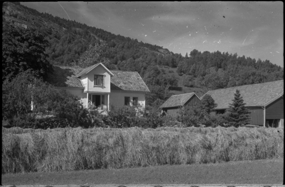 Flere bilder av landskapet, stratigrafi og gårder på Vadla ved Jøsenfjorden. Det er også bilder av folk på Vadla, blant annet Frida Johannessen på bilde nr. 2, 30, 31, 34 og sammen med Paul Johannessen på bilde nr. 35.