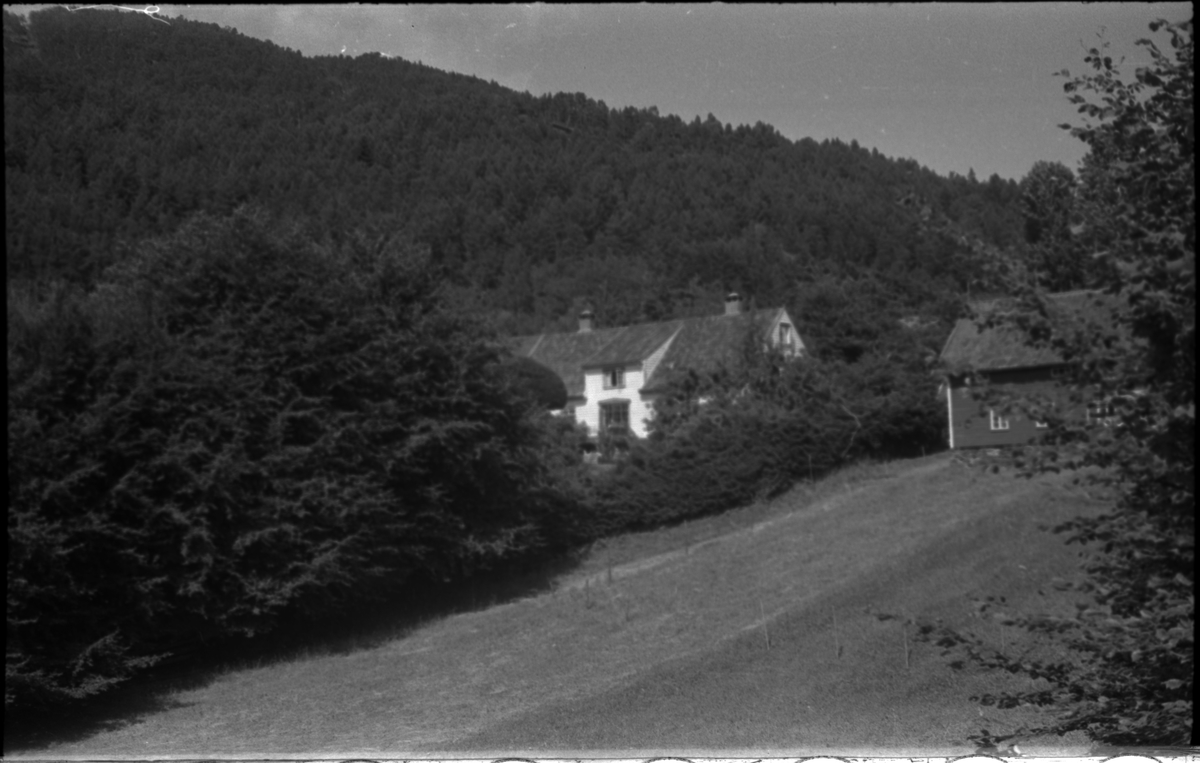 Bilder fra turer til Hogganvik, Vikedal, Hardanger, Bergen, Hafrsfjord, Hovda gård og Trelaneset ved Sola. Frida Johannessen spiser bær fra en grein (bilde 1-2). Bilde nr. 3 er av Yrkjefjorden sett fra Hogganvik i Vindafjord kommune. Det er flere bilder av Hogganvik med folk på verandaen på "Lars Hertevigs hus", i hagen og ved den såkalte "St. Hans-stranda" nedenfor (bilde nr. 4-13). Bilde nr. 17 er tatt foran Vikedal gjestgiveri. Bilde 27-30 ser ut til å være fra innerst i Hafrsfjord fra Sørnesvågen og Grannesvågen, nordøst for Sola flyplass.