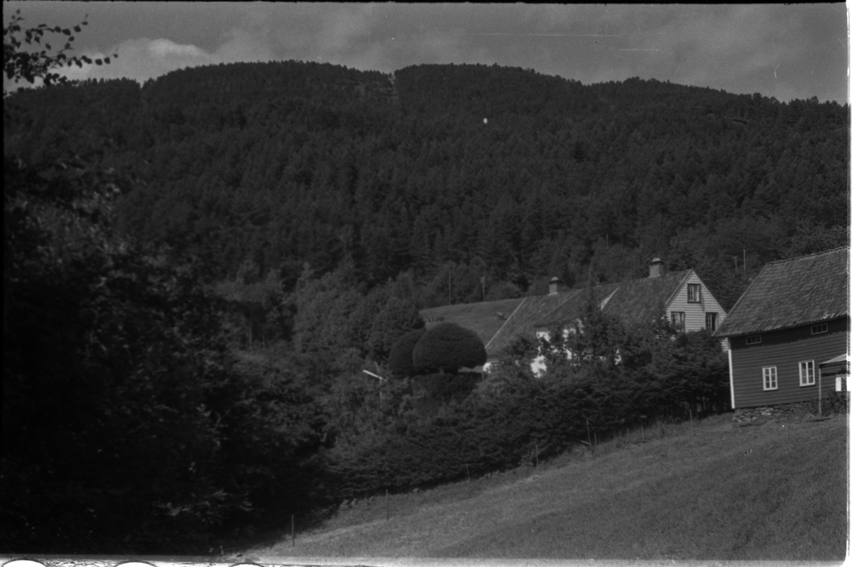 Bilder fra turer til Hogganvik, Vikedal, Hardanger, Bergen, Hafrsfjord, Hovda gård og Trelaneset ved Sola. Frida Johannessen spiser bær fra en grein (bilde 1-2). Bilde nr. 3 er av Yrkjefjorden sett fra Hogganvik i Vindafjord kommune. Det er flere bilder av Hogganvik med folk på verandaen på "Lars Hertevigs hus", i hagen og ved den såkalte "St. Hans-stranda" nedenfor (bilde nr. 4-13). Bilde nr. 17 er tatt foran Vikedal gjestgiveri. Bilde 27-30 ser ut til å være fra innerst i Hafrsfjord fra Sørnesvågen og Grannesvågen, nordøst for Sola flyplass.