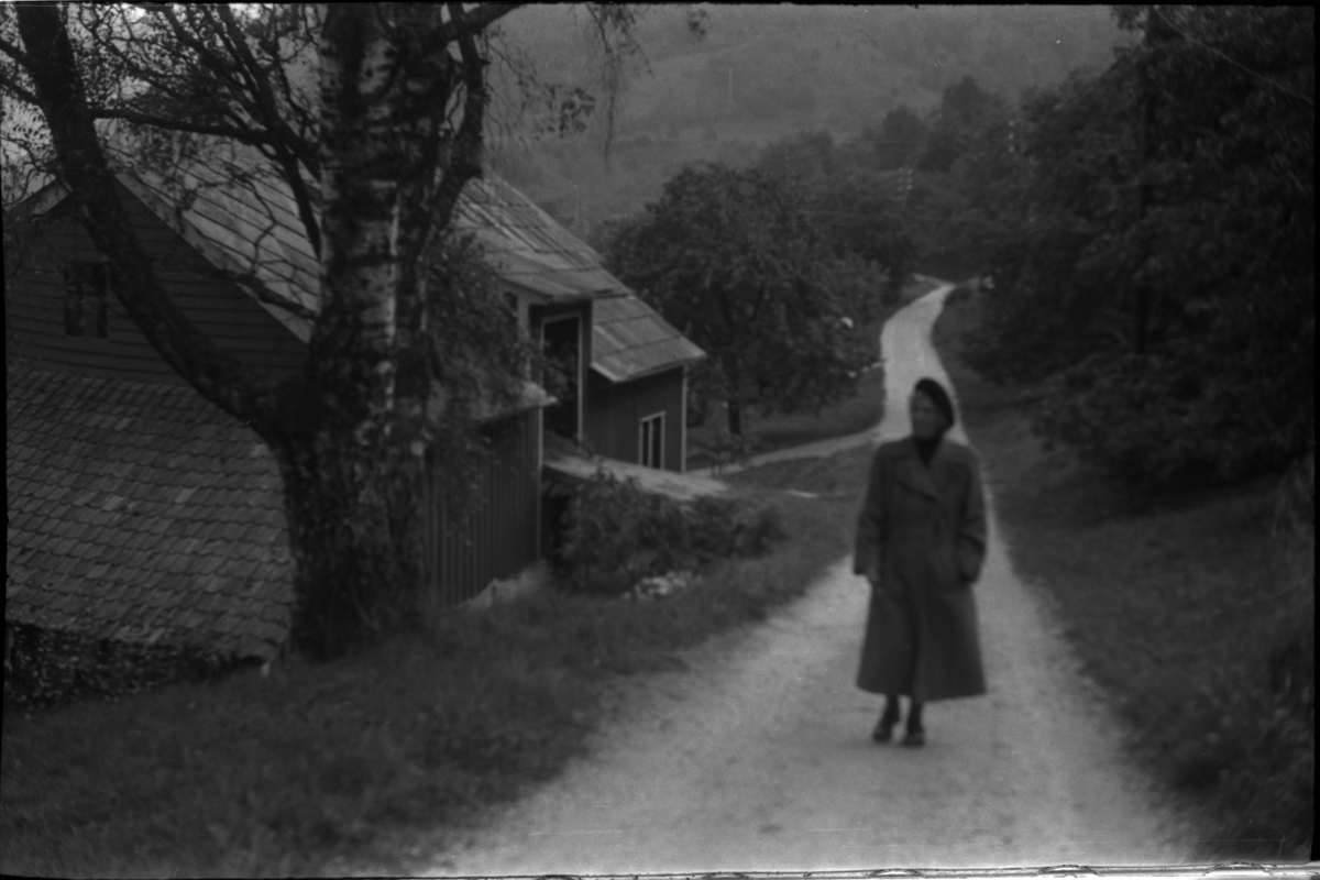 Bilder fra turer til Hogganvik, Vikedal, Hardanger, Bergen, Hafrsfjord, Hovda gård og Trelaneset ved Sola. Frida Johannessen spiser bær fra en grein (bilde 1-2). Bilde nr. 3 er av Yrkjefjorden sett fra Hogganvik i Vindafjord kommune. Det er flere bilder av Hogganvik med folk på verandaen på "Lars Hertevigs hus", i hagen og ved den såkalte "St. Hans-stranda" nedenfor (bilde nr. 4-13). Bilde nr. 17 er tatt foran Vikedal gjestgiveri. Bilde 27-30 ser ut til å være fra innerst i Hafrsfjord fra Sørnesvågen og Grannesvågen, nordøst for Sola flyplass.