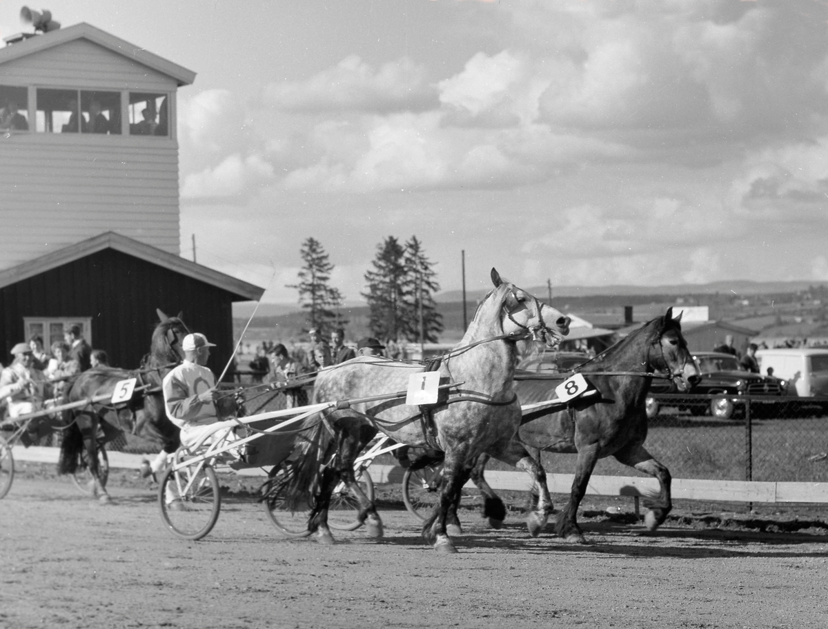 Vikodden travbane 1961