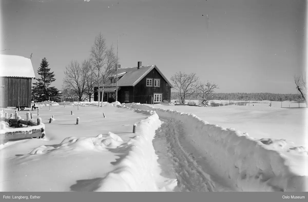 Sutterhol gård, vei, bolighus, uthus, kulturlandskap, snø