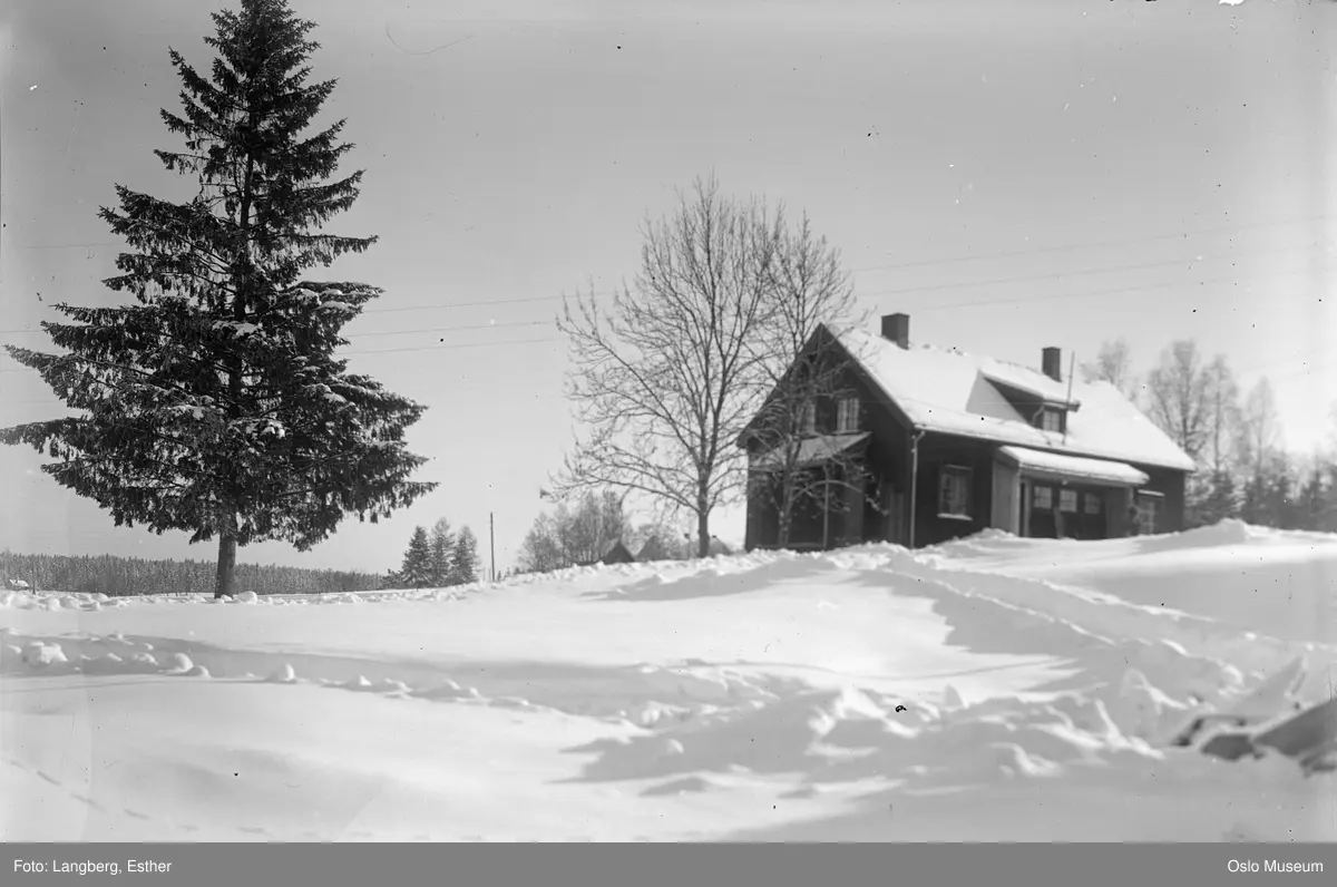 Sutterhol gård, bolighus, kulturlandskap, snø