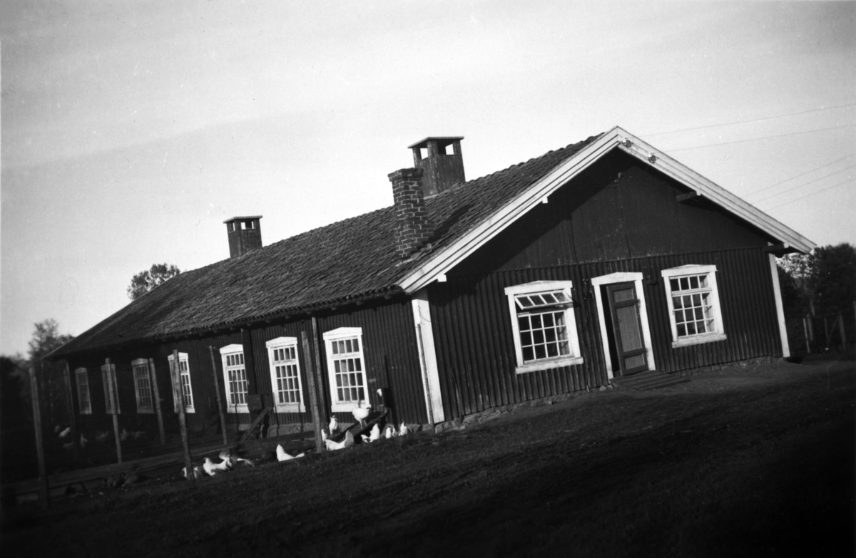 Hønsehuset ved Jønsberg landbruksskole.