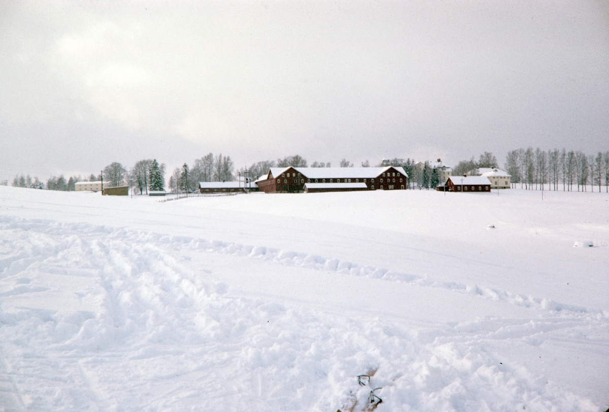 Jønsberg Landbruksskole. 